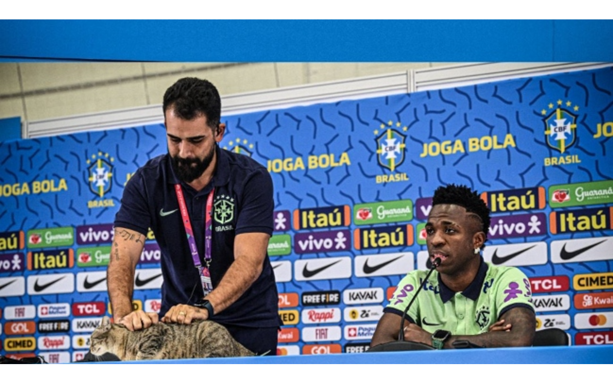 Qatar 2022: Roba gato cámara a Vinícius Júnior y lo sacan de ruda manera | Video