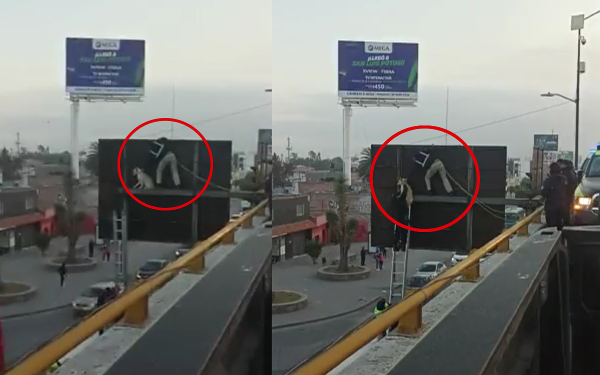 ¿Cómo le hizo? Policías rescatan a lomito atrapado en letrero vial | Video