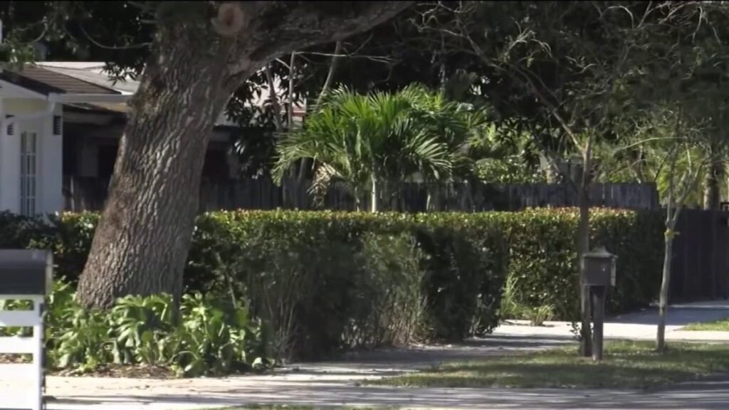 Buscan a sospechoso de disparar contra una fiesta familiar y herir a 9 personas en Florida