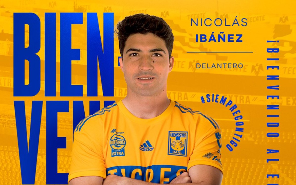 Brotan comillos y garras a Nicolás Ibáñez, nuevo jugador de Tigres | Video
