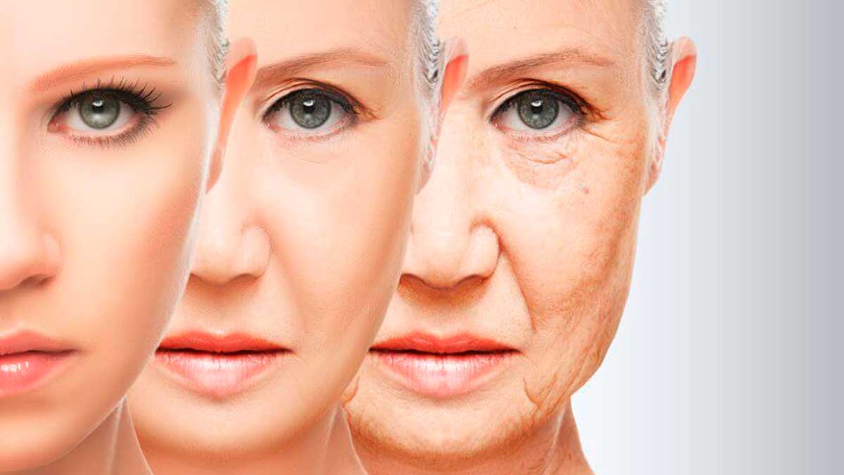 Claves del envejecimiento, un proceso imparable debido a la autofagia