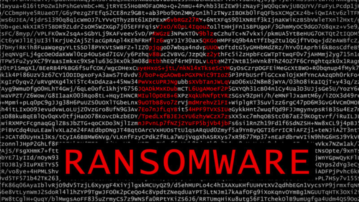 Estados Unidos desmantela una red internacional de “ransomware”