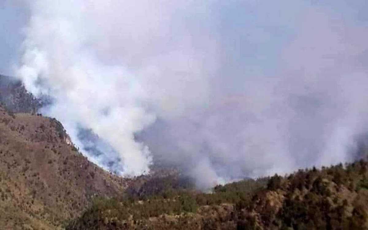 Incendio consume bosques en el Pico de Orizaba