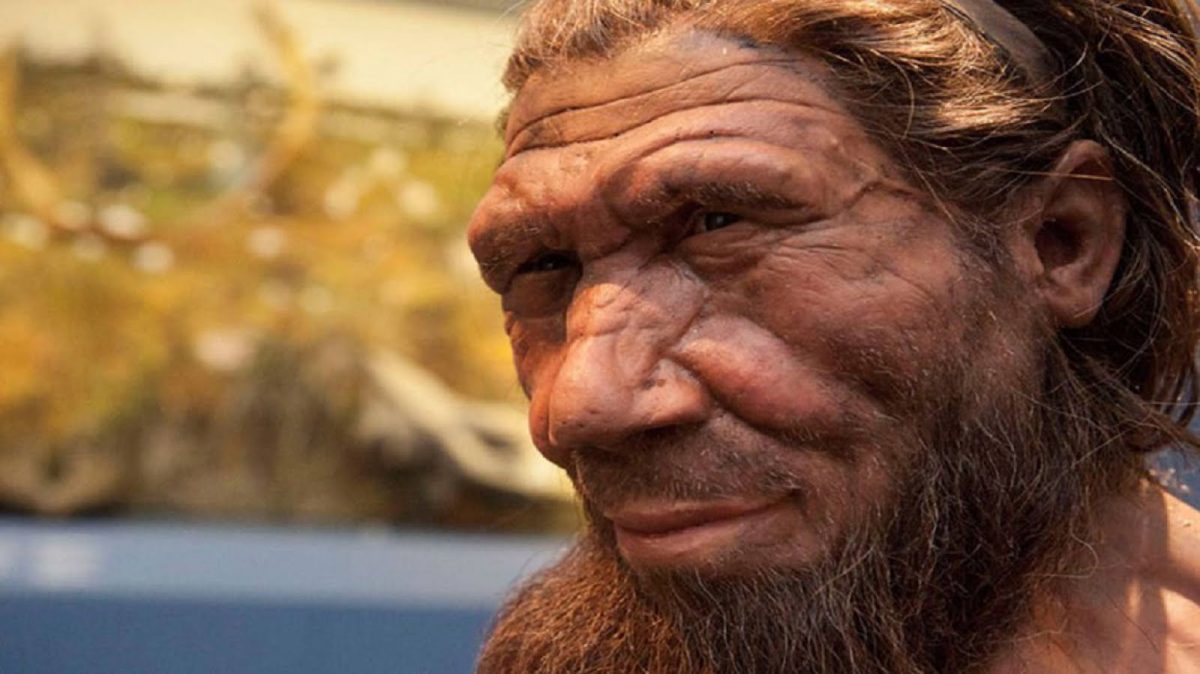 Los neandertales ya tomaban ‘aspirinas’ hace 48.000 años