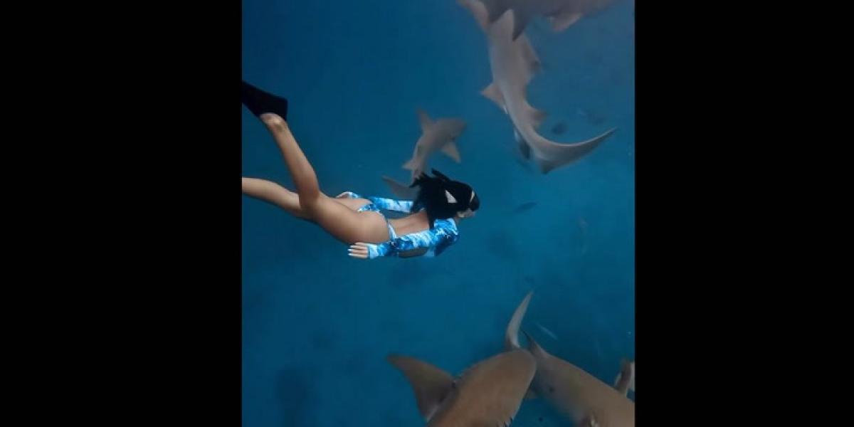 Nadando con tiburones o descubriendo un naufragio: las espectaculares vacaciones de Laura Escanes