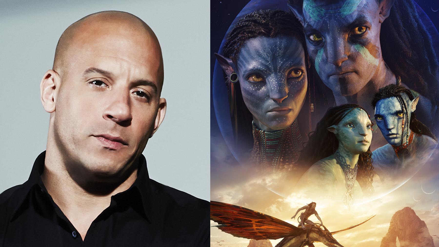 Vin Diesel no estará relacionado con la franquicia ‘Avatar’