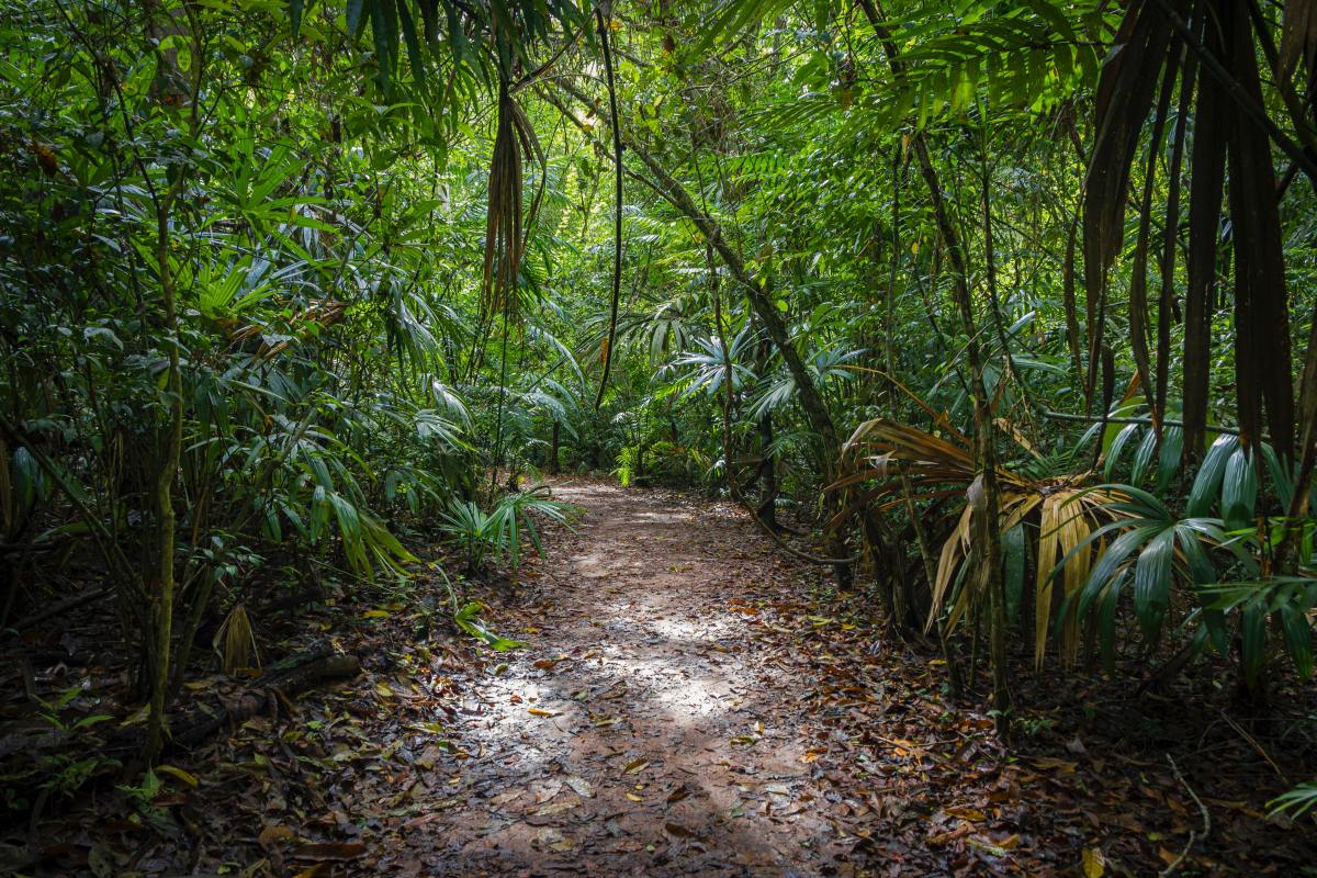 Welcome to the Jungle obtiene $ 54 millones para su ingeniosa plataforma de trabajo