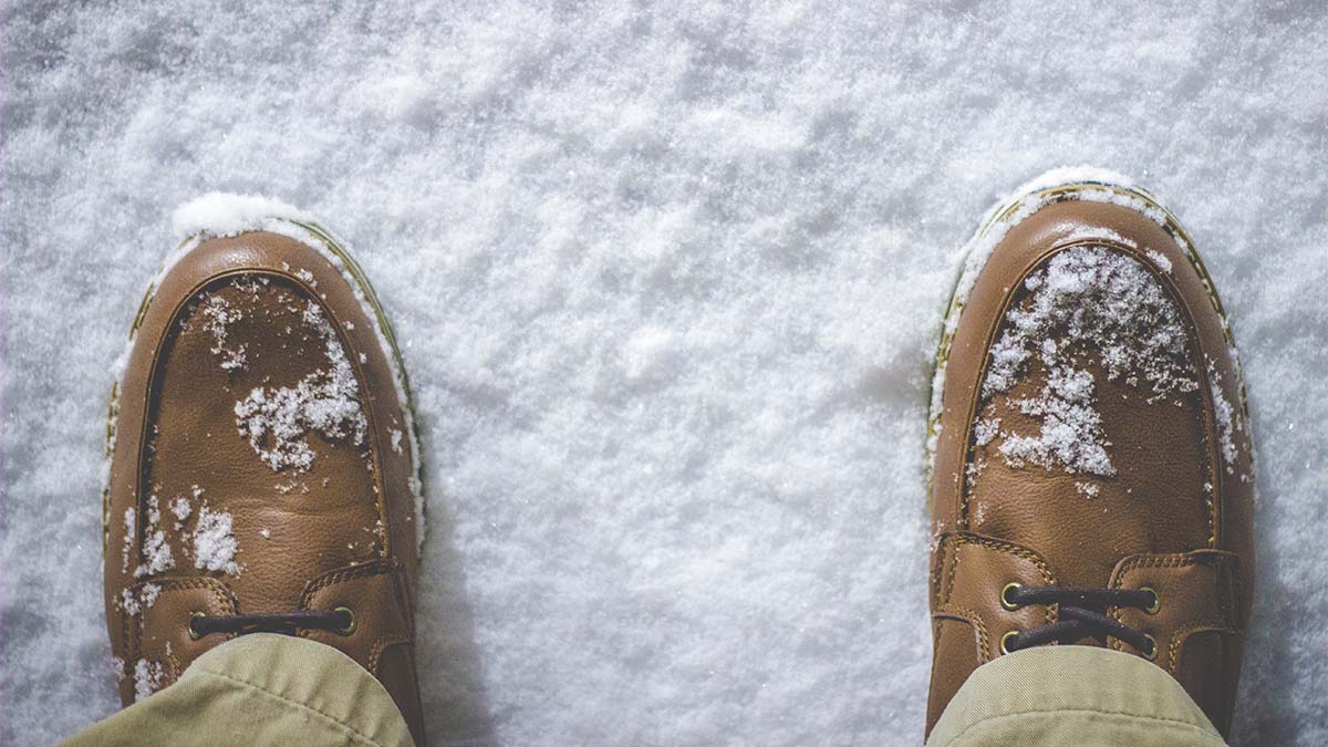 ¿Sabías que en realidad no es de color blanco?