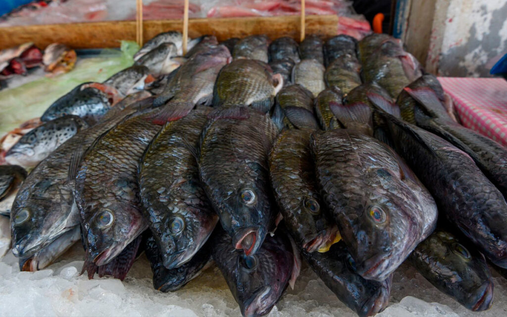 ¿Sabes si el pescado que compras en cuaresma vale lo que pagas?