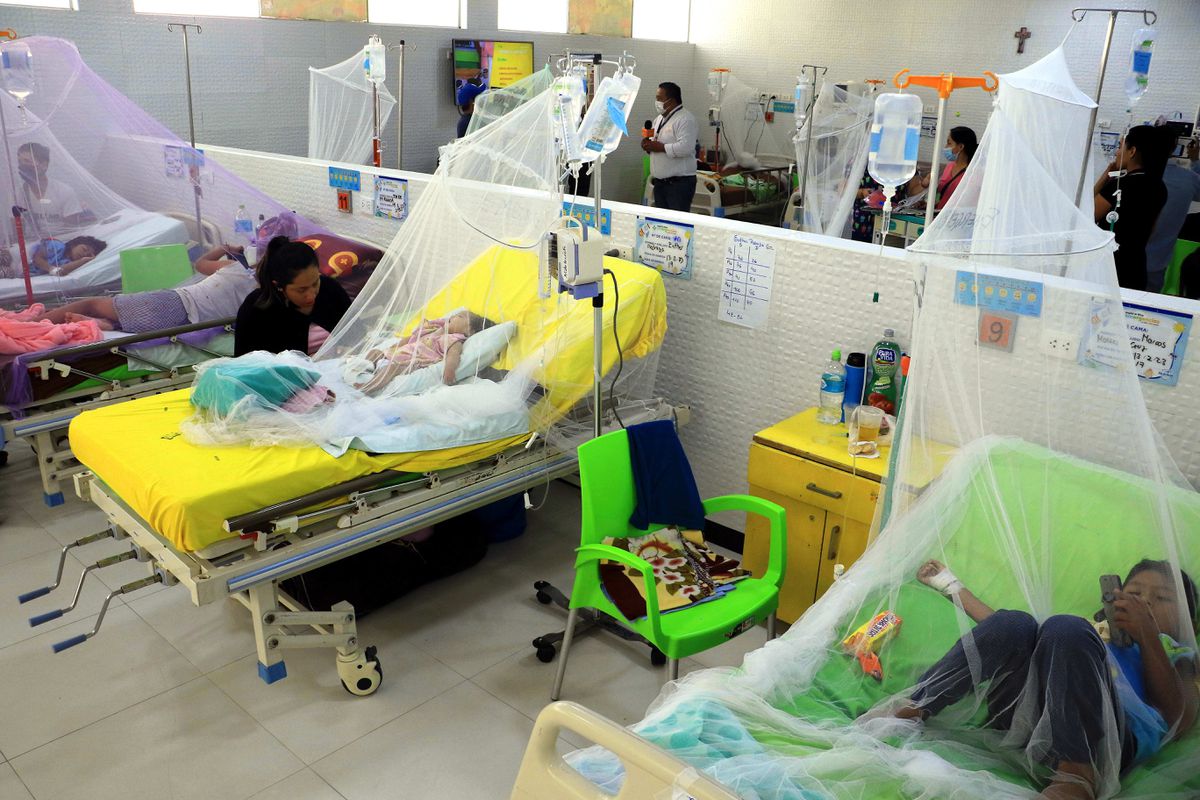 Bolivia sufre la peor epidemia de dengue en diez años