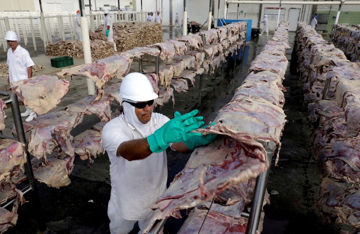 Brasil detecta un caso de ‘vaca loca’ y suspende las exportaciones de carne bovina a China