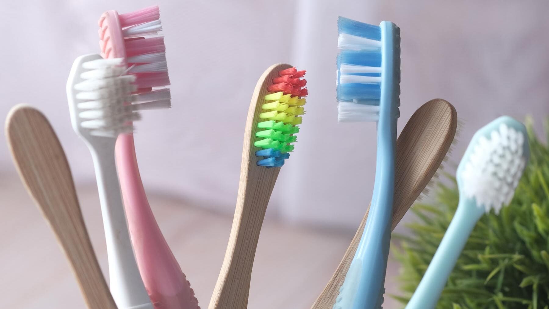 Cierra la tapa del inodoro por el bien de tu cepillo de dientes: puede pasarte esto