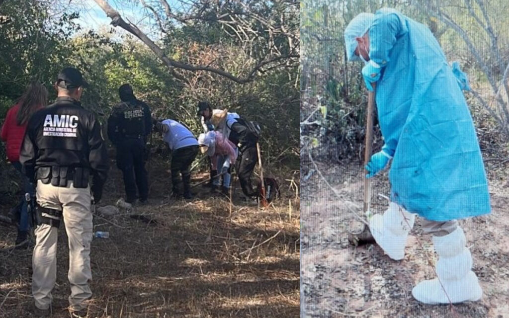 Colectivos de madres buscadoras encuentran dos osamentas en Sonora