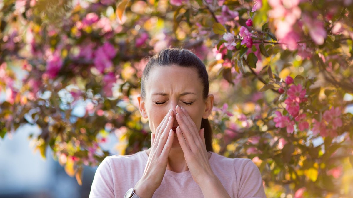 Cómo manejar las alergias antes de la primavera