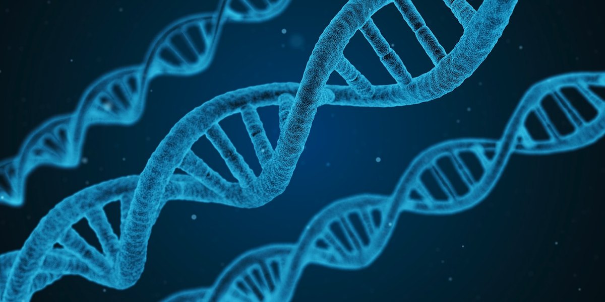 El ADN se convierte en un método de almacenamiento de datos