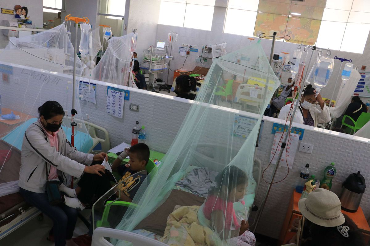 El dengue se ceba con los niños en Bolivia