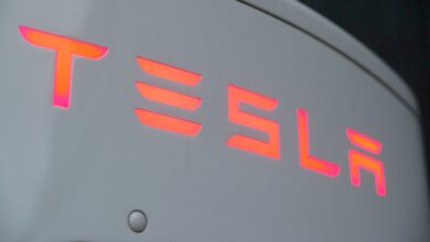 Entusiasma a empresarios mexicanos inversión de Tesla en Nuevo León