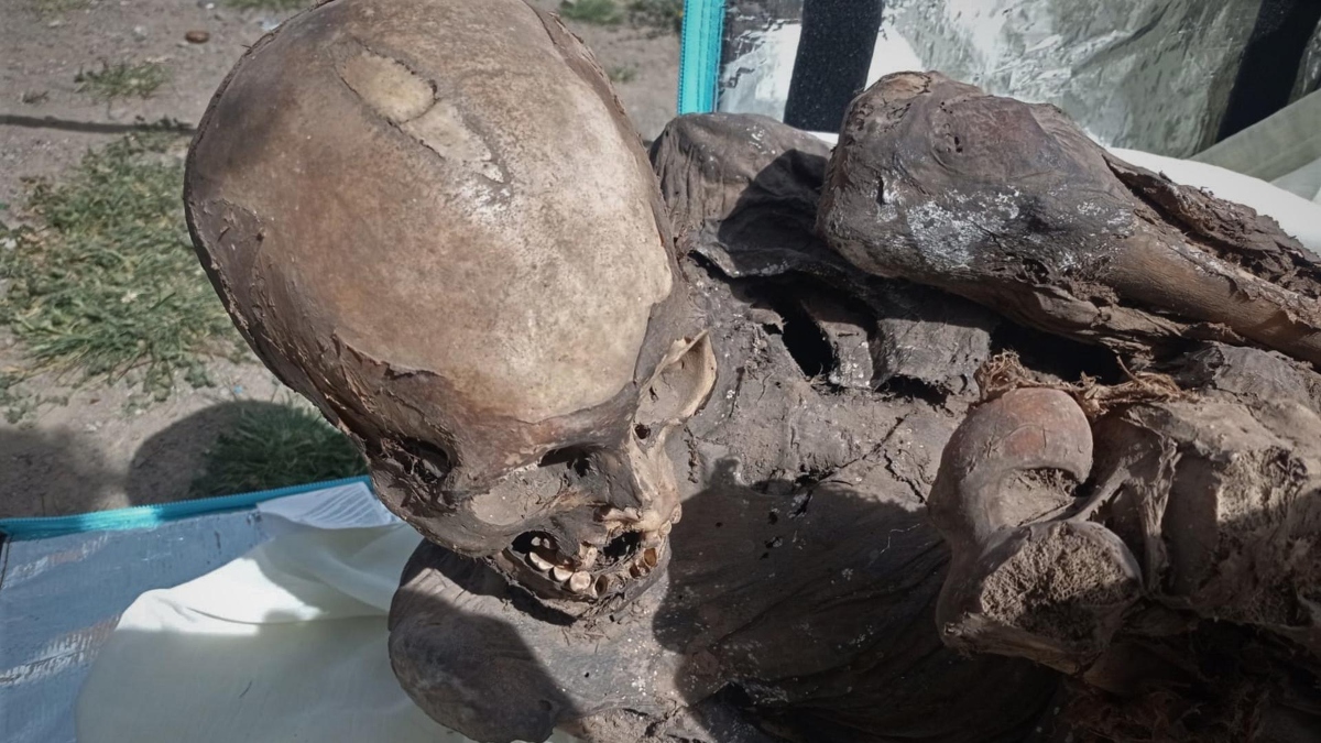 Hallan momia prehispánica en mochila de repartidor de “delivery” en Perú