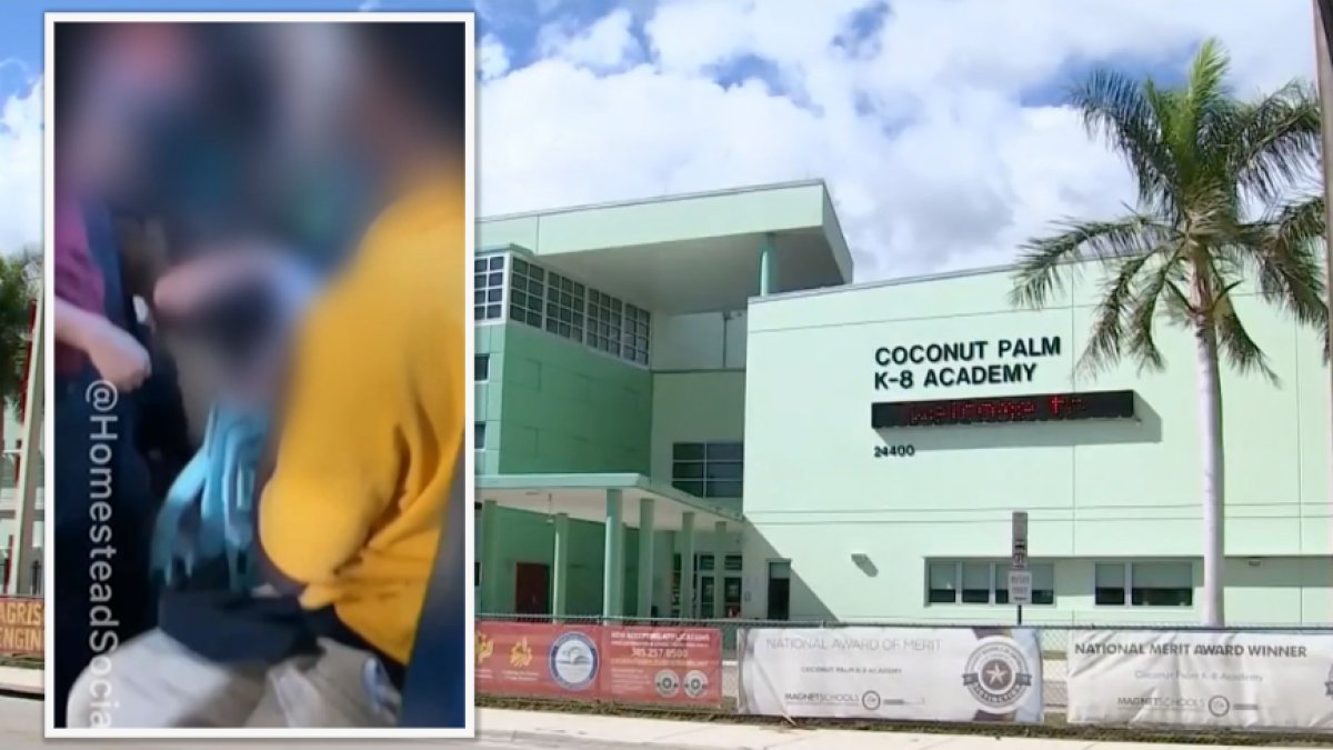 Investigan brutal golpiza contra niña en bus escolar de Miami-Dade
