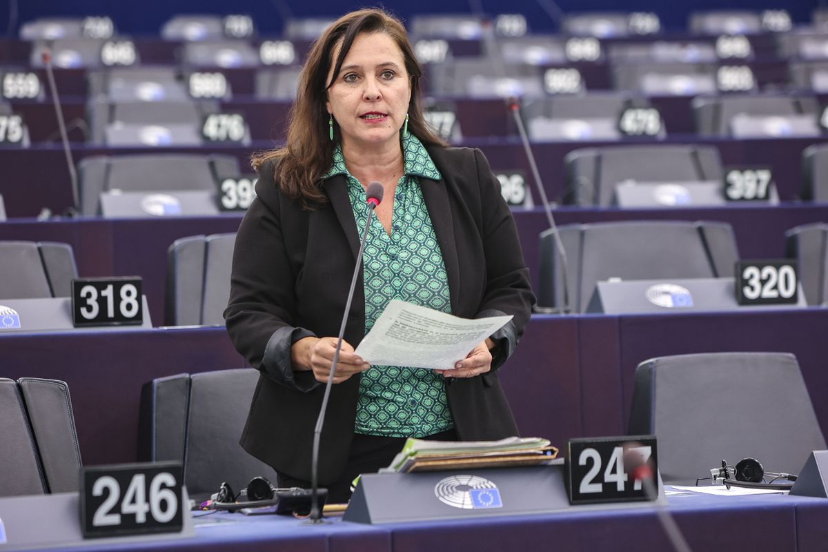 Israel impide la entrada a una eurodiputada española que integraba una delegación oficial a Palestina