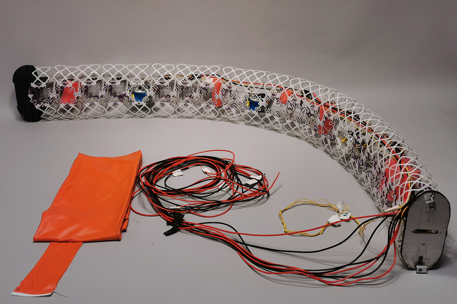 Los robots anguila modulares combinan componentes blandos y rígidos