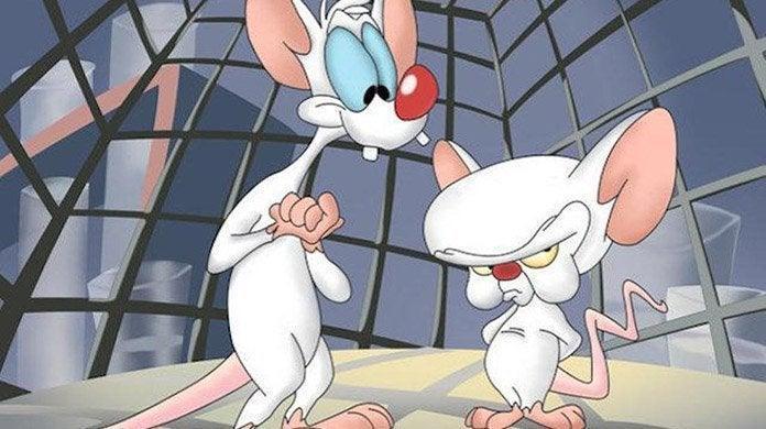 Pinky and the Brain Cast de Animaniacs aborda la teoría de “Pinky es un genio secreto” (exclusivo)