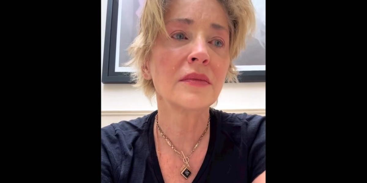 Sharon Stone, abatida: ahora pierde a su hermano, el padre de su sobrino de 11 meses fallecido