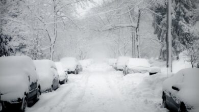 Tormenta invernal azota a EEUU con ráfagas de viento y nieve