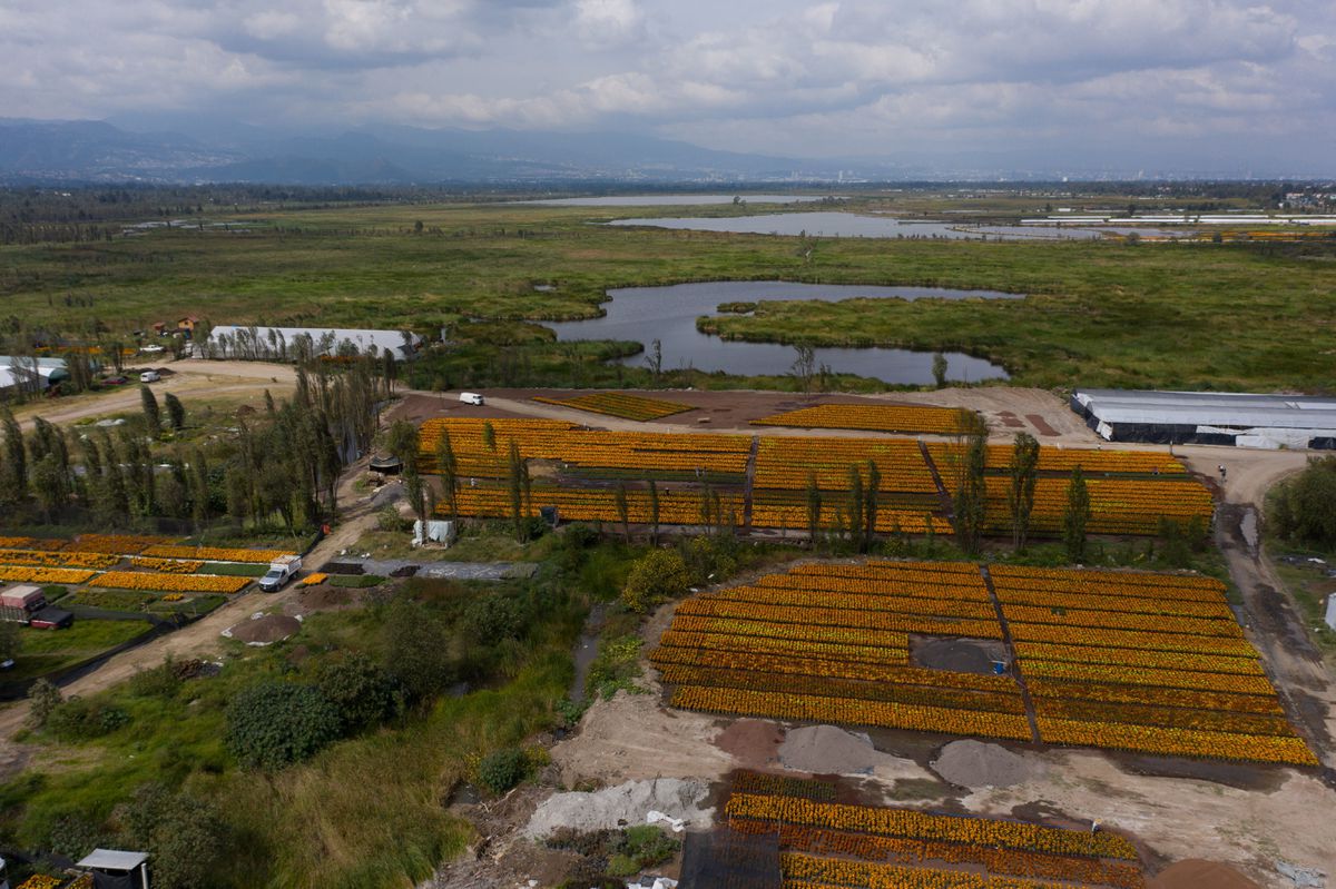 Xochimilco frena la construcción de un cuartel de la Guardia Nacional en un área natural protegida