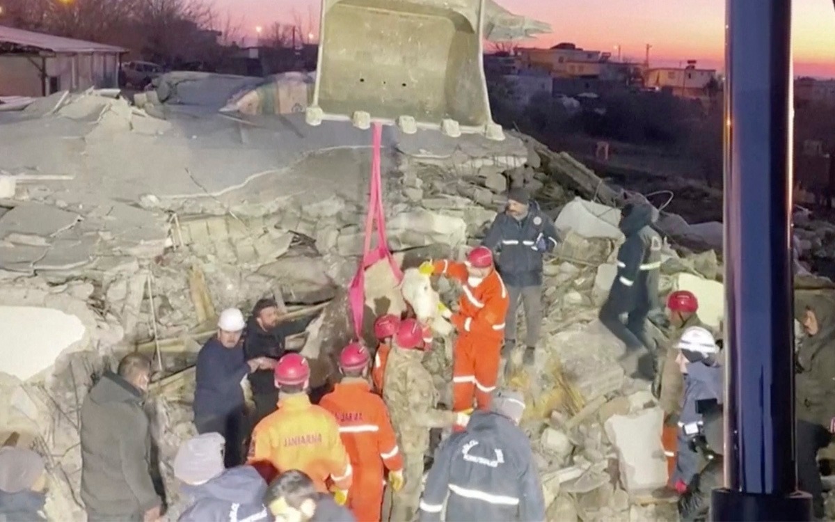 ¡Bravo! Rescatan a vaca atrapada durante 11 días tras sismo en Turquía | Video