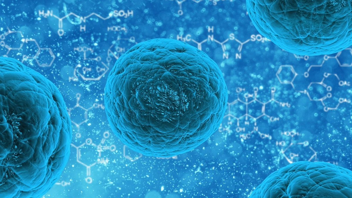 ¿Qué son y para qué sirve este complejo supramolecular?