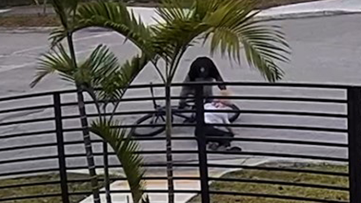 Buscan a sospechoso de robar y agredir a anciana en Coconut Grove