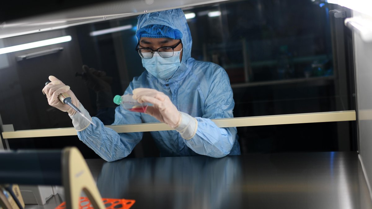 China desmiente la declaración del FBI sobre el origen del COVID-19 y la fuga de un laboratorio en Wuhan