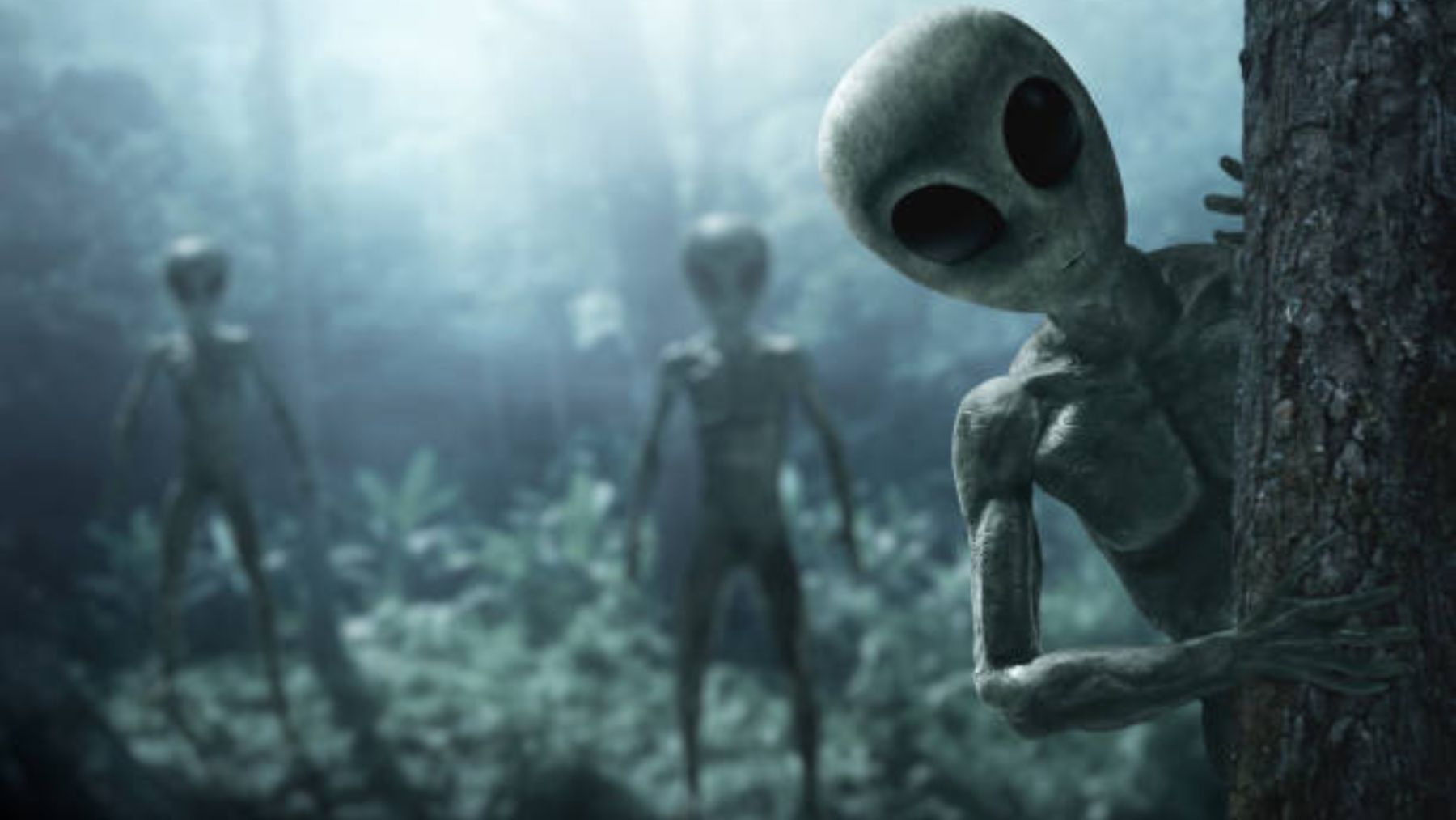 La fecha exacta en la que llegarán los extraterrestres a la Tierra según un ‘viajero del tiempo’