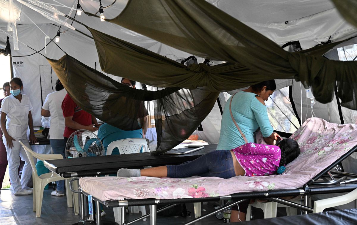 La peor epidemia de dengue en Bolivia suma 14.000 casos