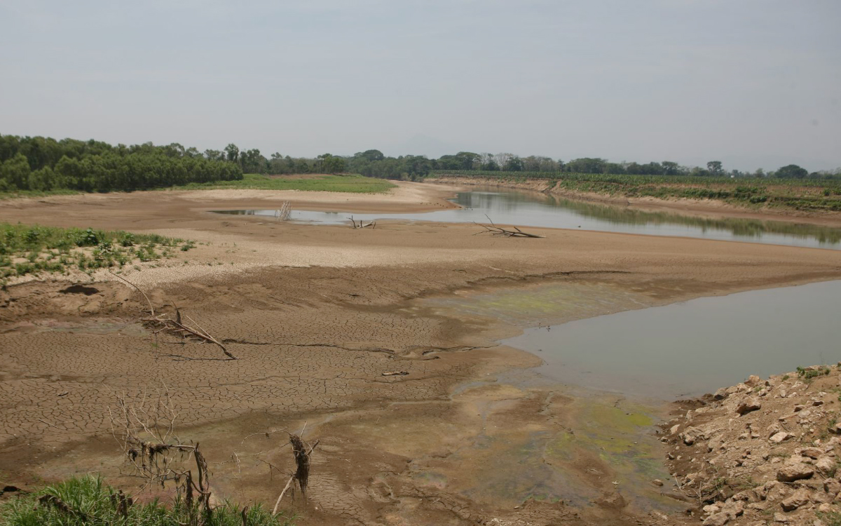 México se une a acuerdo histórico para restaurar 300 mil km de ríos | Video