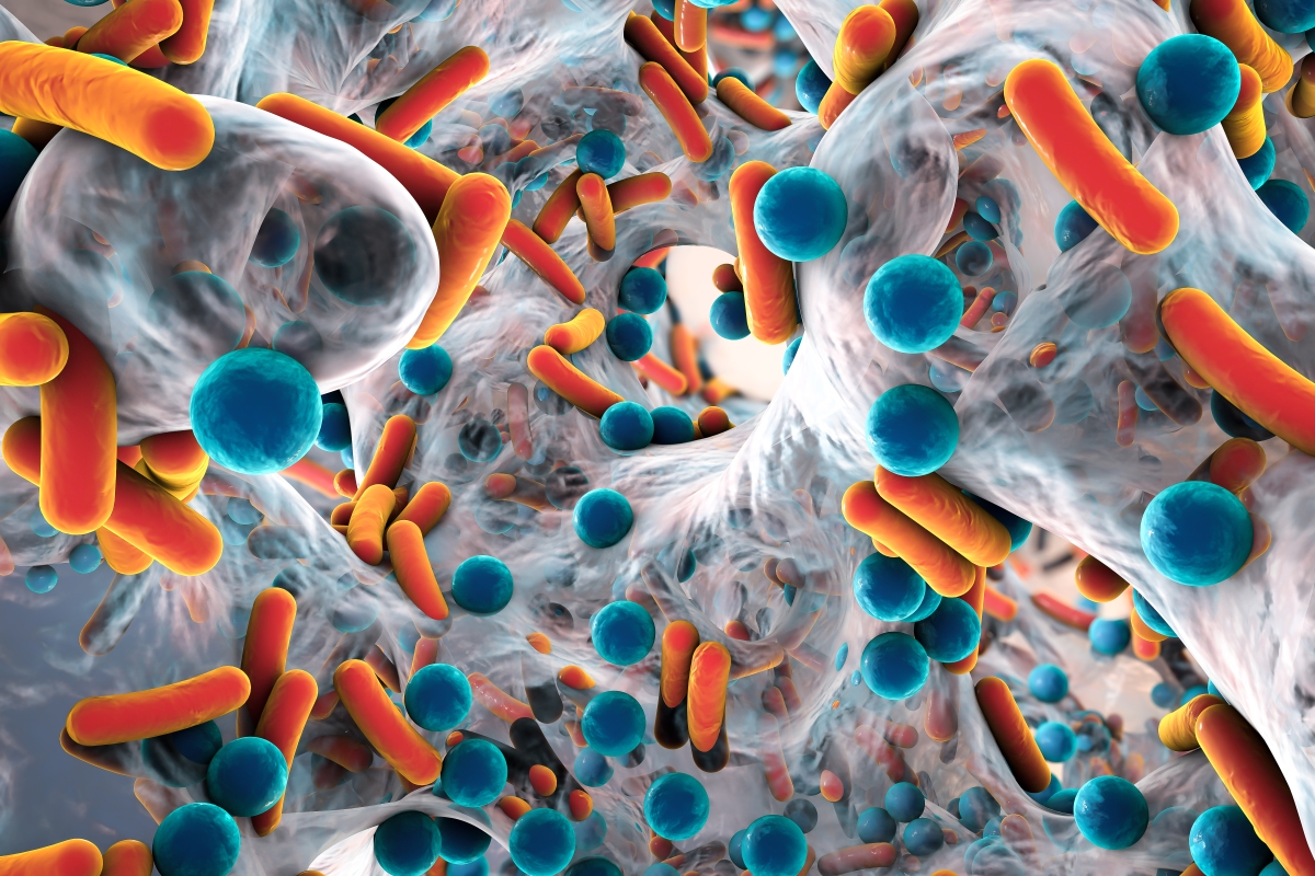 Pragma Bio busca tratamientos contra el cáncer escondidos en nuestro microbioma