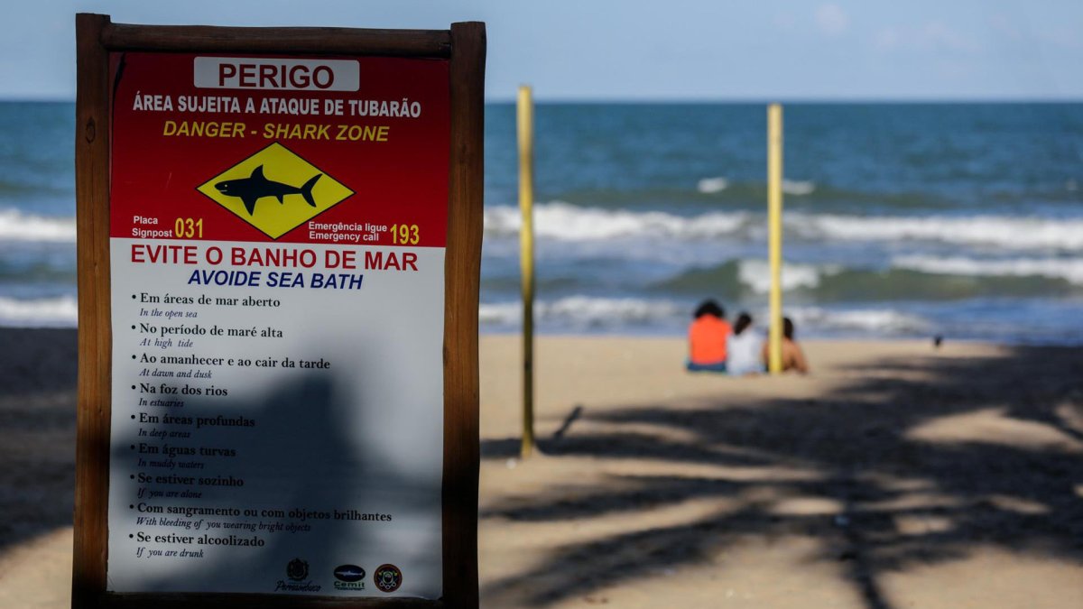 Tiburones siembran el pánico en una playa de Brasil
