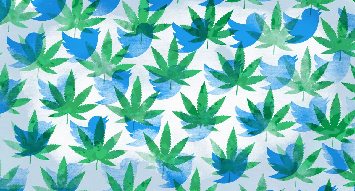 Tweet, tweet, pass: Twitter desbloquea una oportunidad de crecimiento en ciernes para las nuevas empresas de cannabis