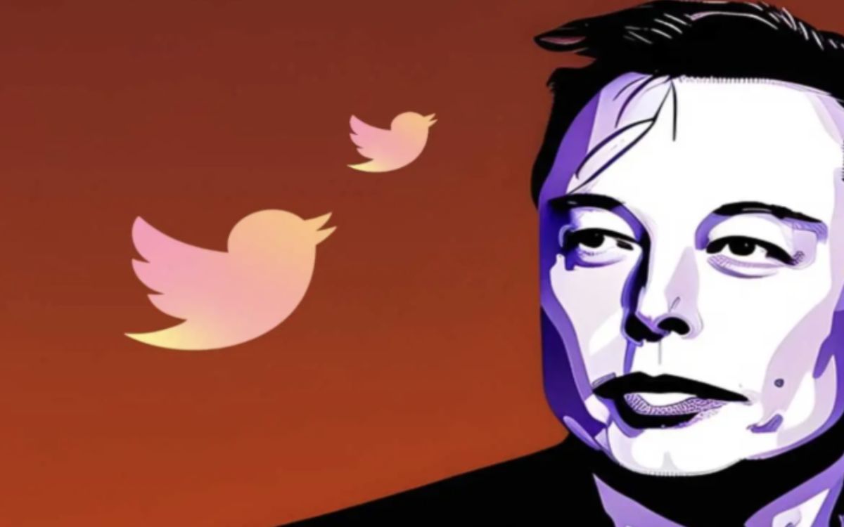 Twitter solo recomendará cuentas verificadas: Musk