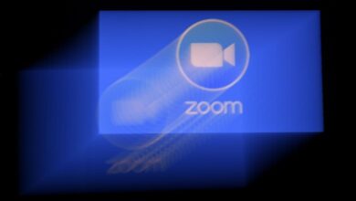 Zoom está agregando nuevas funciones para competir con Slack, Calendly, Google y Microsoft