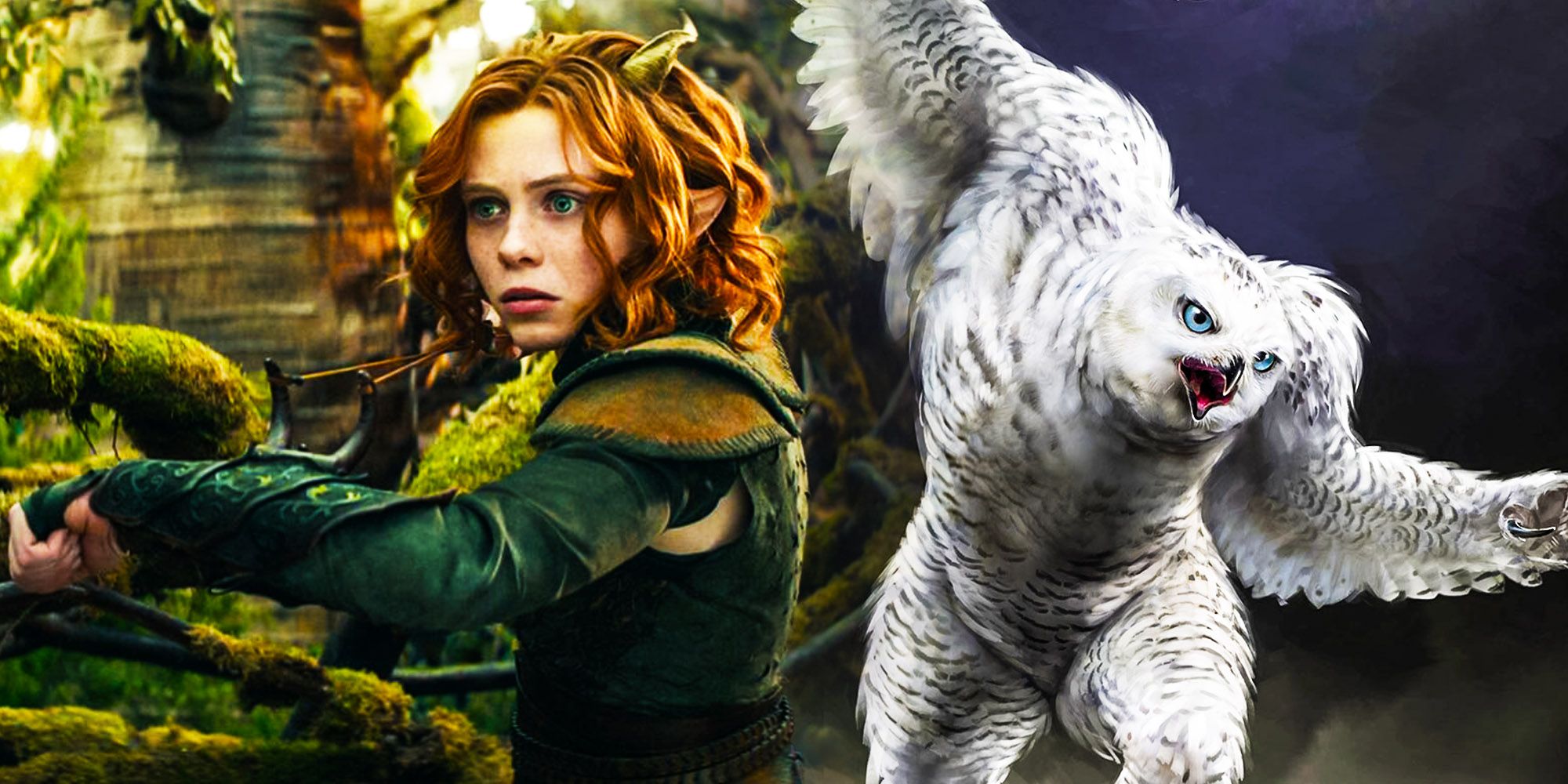 8 animales en los que Doric se convierte durante Dungeons & Dragons: Honor Among Thieves