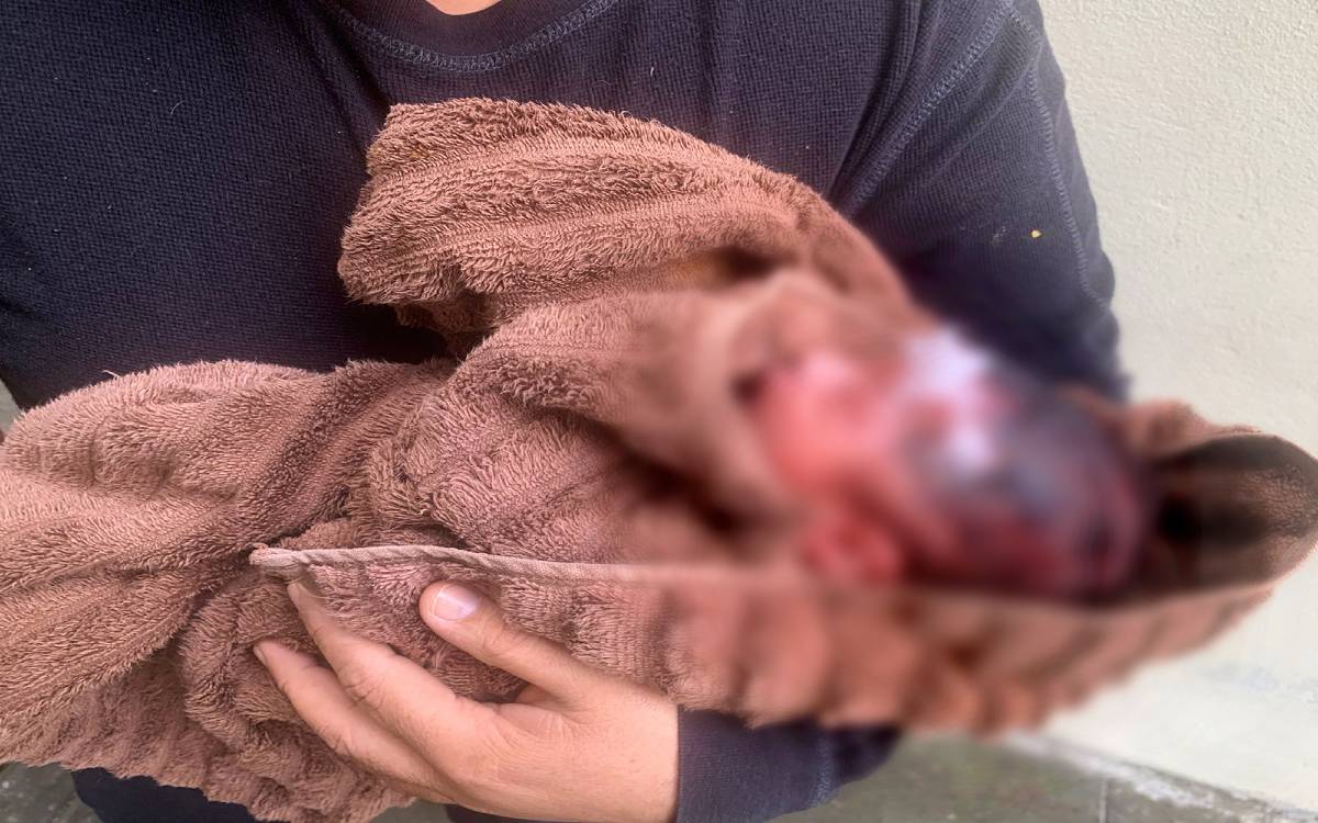 Abandonan a una recién nacida dentro de una llanta en Nuevo León 