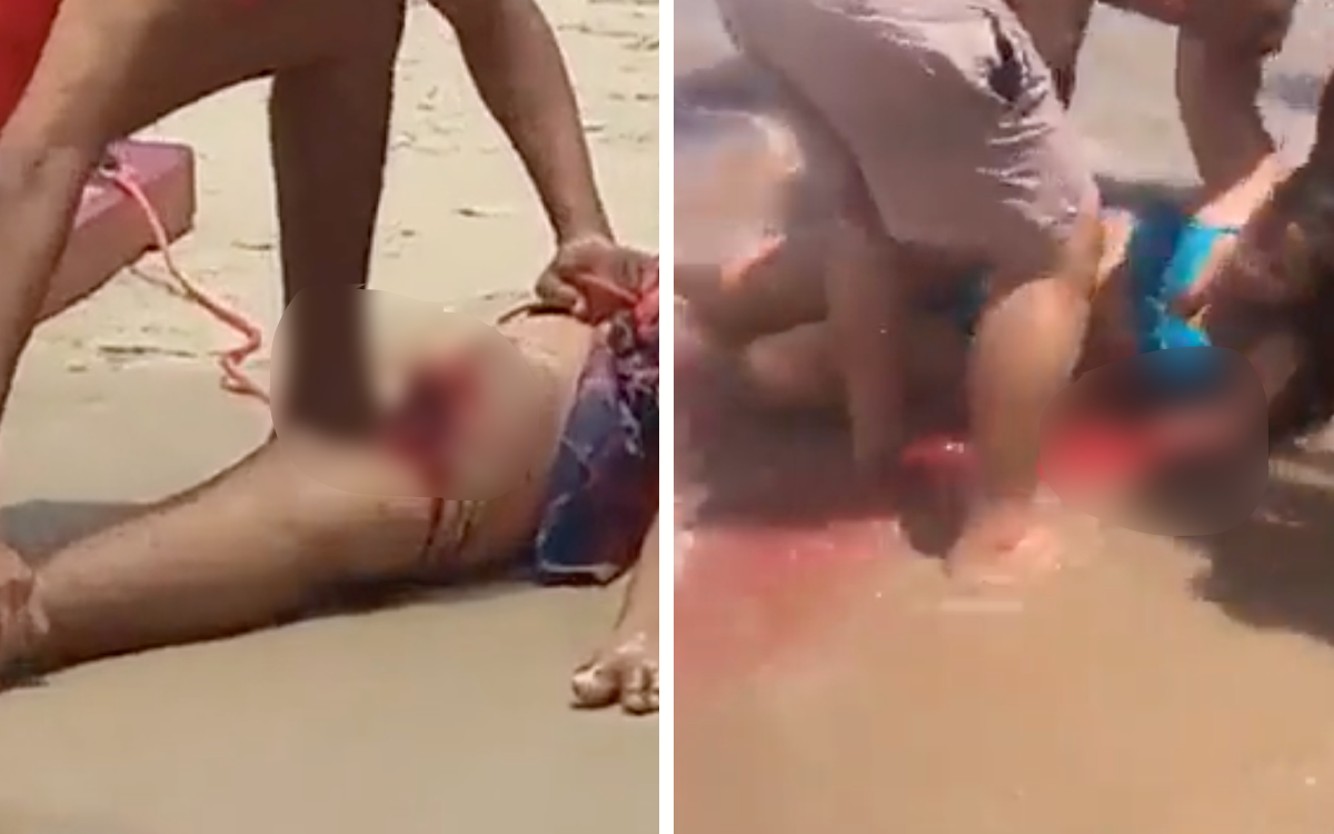 Alertan por ataques de tiburón en playas de Brasil | Video