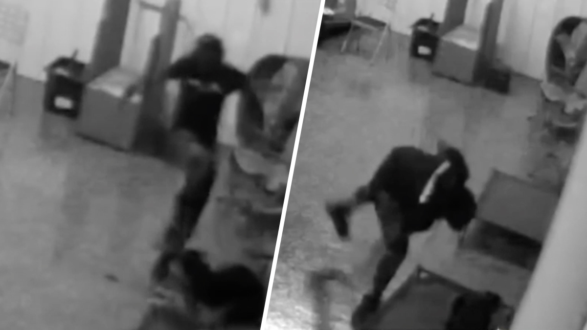Arrestan a mujer por ataque a perros captado en video