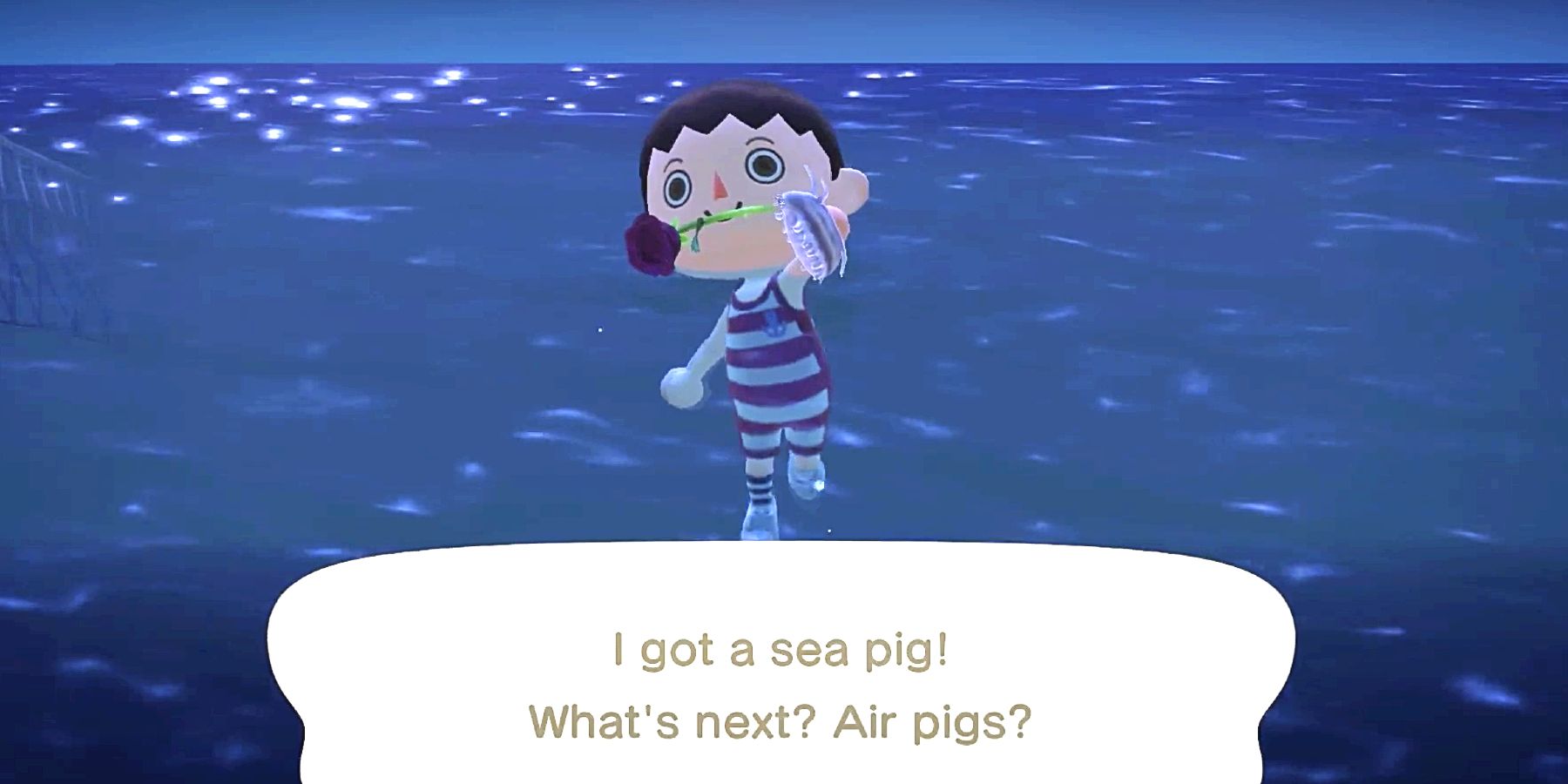 Cómo encontrar (y atrapar) el cerdo marino en Animal Crossing