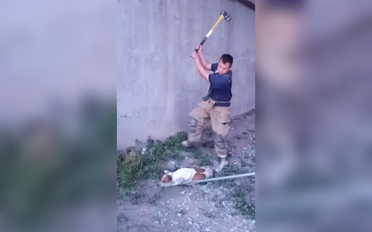 Detienen a bombero señalado de matar perros en Coahuila