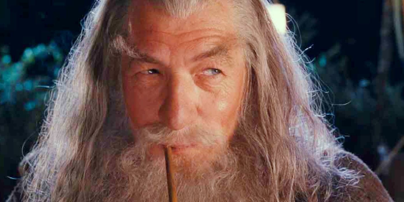 Sir Ian McKellen as Gandalf in The Lord of the Rings.