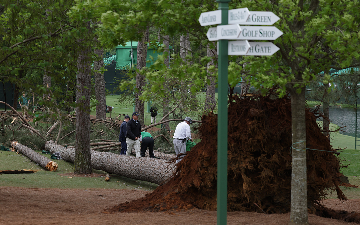 Golf: Caen árboles masivos por fuertes vientos en el Masters de Augusta | Video