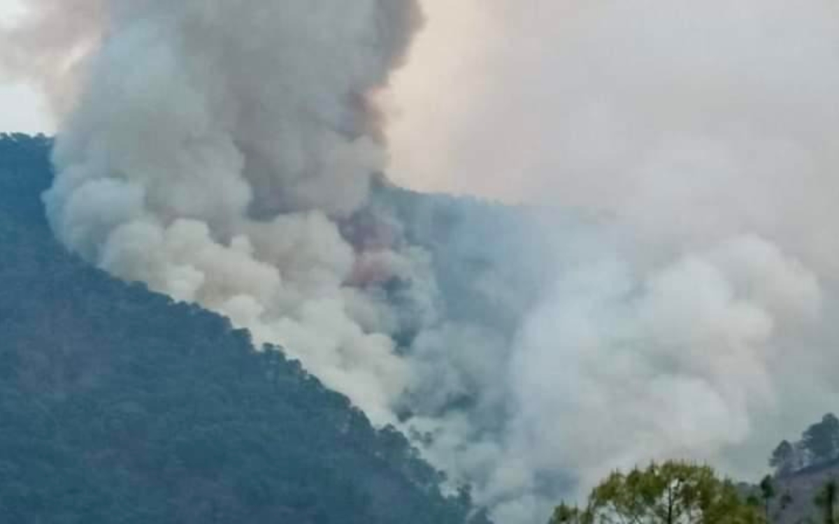 Incendios en Oaxaca cumplen 9 días y han consumido 3 mil hectáreas